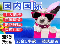 泉州航空邮寄国际宠物托运 【国